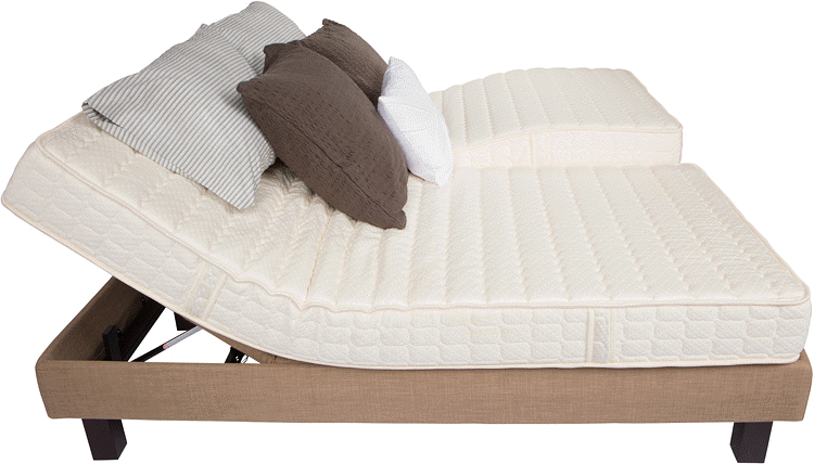 LA latex foam natural organic adjustable beds