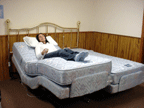 adjustable bed picture dual king pics dualking