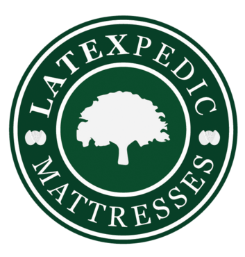 latex foam bed